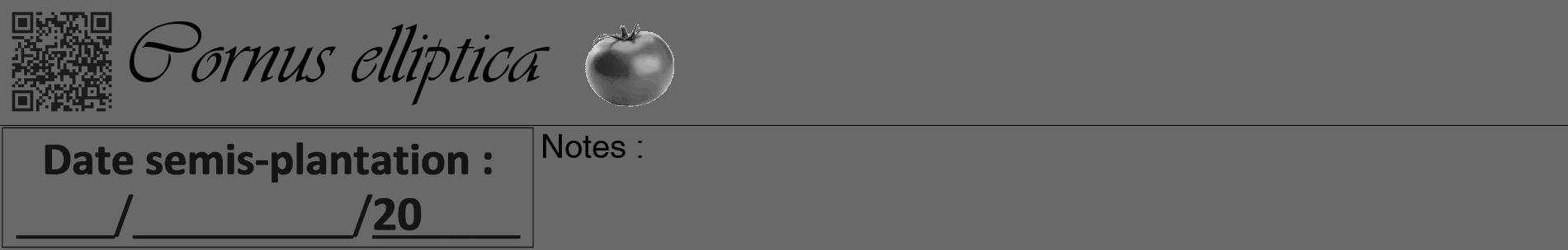 Étiquette de : Cornus elliptica - format a - style noire51basiqueviv avec qrcode et comestibilité simplifiée