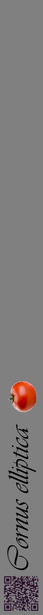Étiquette de : Cornus elliptica - format a - style noire57viv avec qrcode et comestibilité simplifiée
