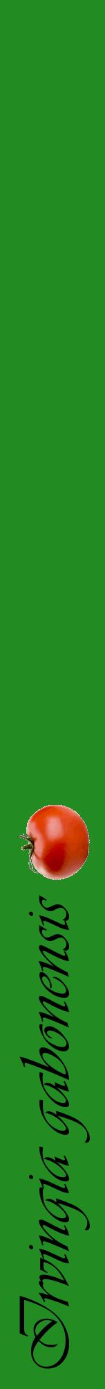 Étiquette de : Irvingia gabonensis - format a - style noire10viv avec comestibilité simplifiée