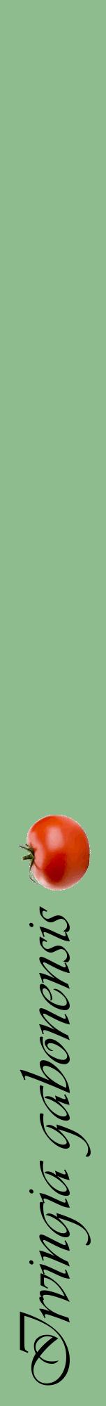 Étiquette de : Irvingia gabonensis - format a - style noire13viv avec comestibilité simplifiée