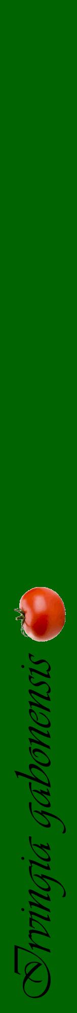 Étiquette de : Irvingia gabonensis - format a - style noire8viv avec comestibilité simplifiée