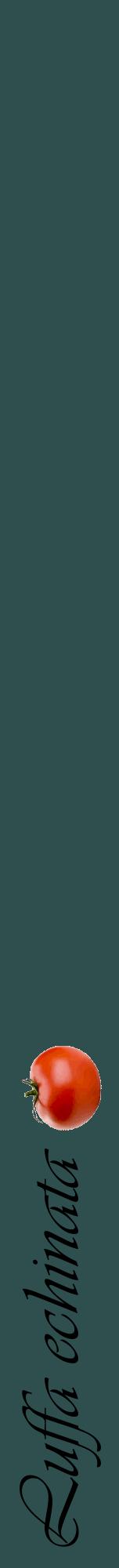 Étiquette de : Luffa echinata - format a - style noire58viv avec comestibilité simplifiée
