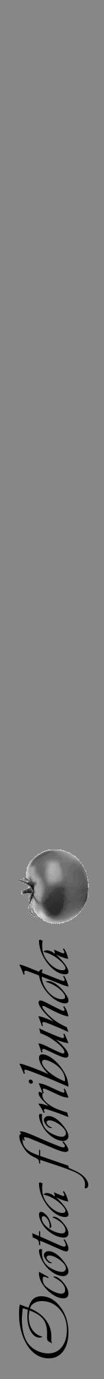 Étiquette de : Ocotea floribunda - format a - style noire12viv avec comestibilité simplifiée - position verticale