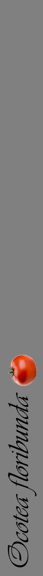 Étiquette de : Ocotea floribunda - format a - style noire57viv avec comestibilité simplifiée