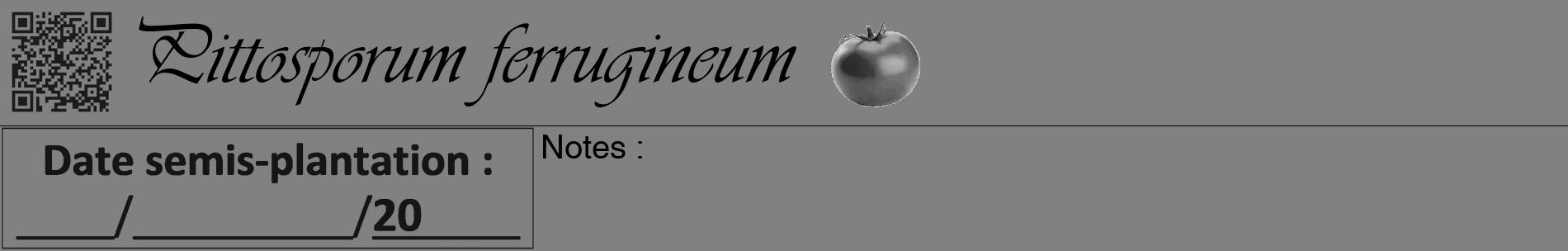 Étiquette de : Pittosporum ferrugineum - format a - style noire50basiqueviv avec qrcode et comestibilité simplifiée