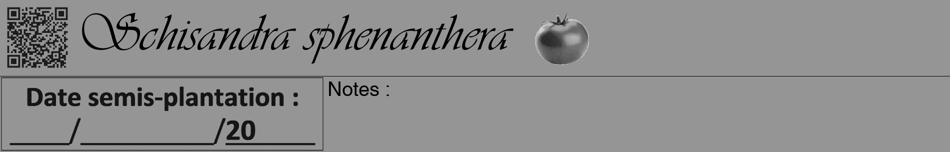 Étiquette de : Schisandra sphenanthera - format a - style noire16basiqueviv avec qrcode et comestibilité simplifiée