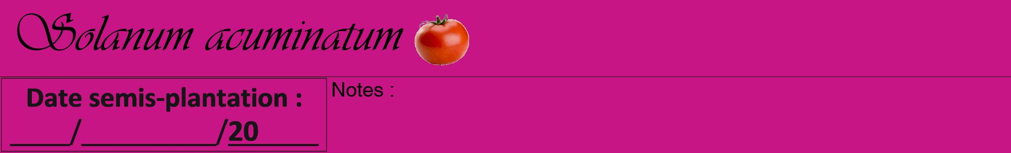 Étiquette de : Solanum acuminatum - format a - style noire45viv avec comestibilité simplifiée