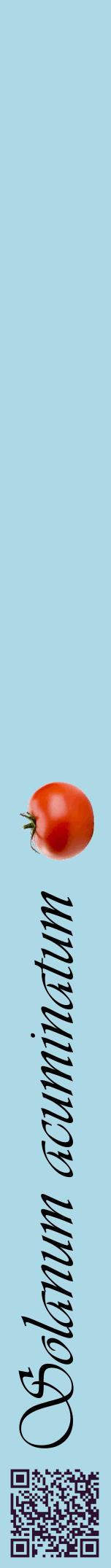 Étiquette de : Solanum acuminatum - format a - style noire0viv avec qrcode et comestibilité simplifiée