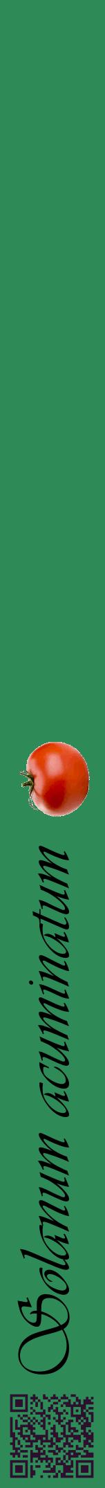 Étiquette de : Solanum acuminatum - format a - style noire11viv avec qrcode et comestibilité simplifiée