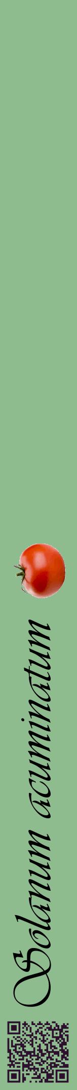 Étiquette de : Solanum acuminatum - format a - style noire13viv avec qrcode et comestibilité simplifiée