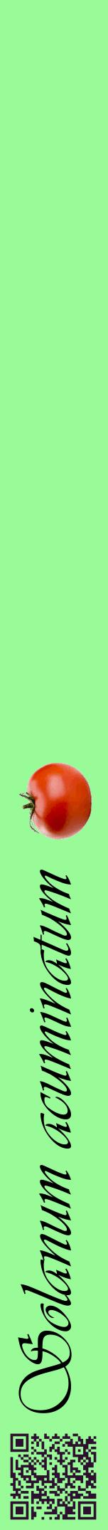Étiquette de : Solanum acuminatum - format a - style noire14viv avec qrcode et comestibilité simplifiée