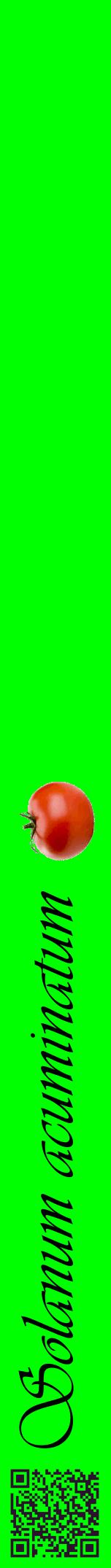 Étiquette de : Solanum acuminatum - format a - style noire16viv avec qrcode et comestibilité simplifiée