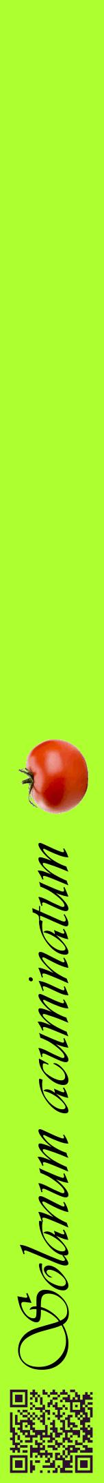 Étiquette de : Solanum acuminatum - format a - style noire17viv avec qrcode et comestibilité simplifiée