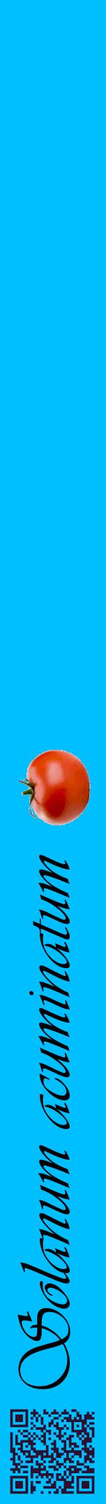 Étiquette de : Solanum acuminatum - format a - style noire2viv avec qrcode et comestibilité simplifiée