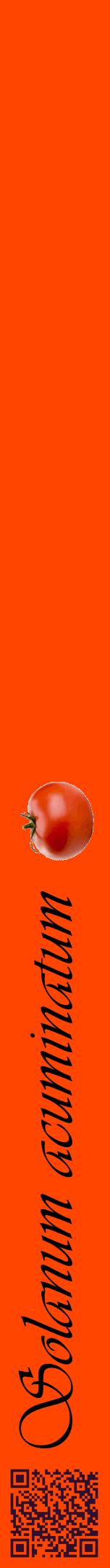 Étiquette de : Solanum acuminatum - format a - style noire26viv avec qrcode et comestibilité simplifiée
