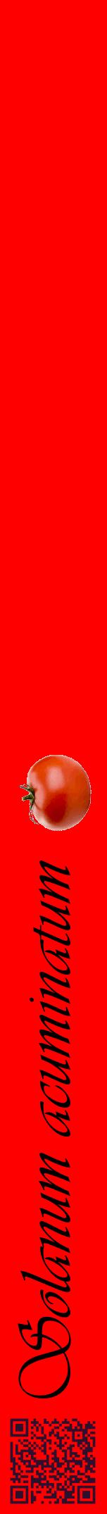 Étiquette de : Solanum acuminatum - format a - style noire27viv avec qrcode et comestibilité simplifiée