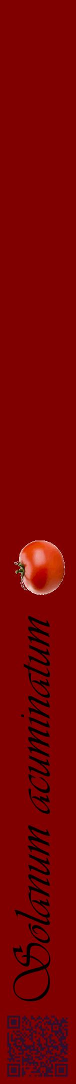 Étiquette de : Solanum acuminatum - format a - style noire29viv avec qrcode et comestibilité simplifiée
