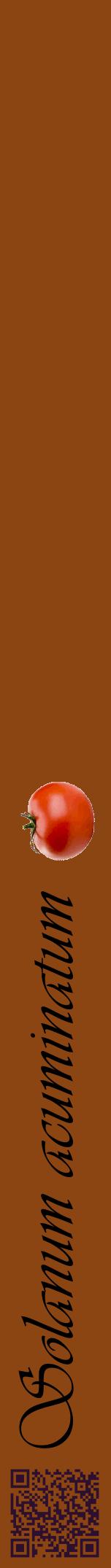 Étiquette de : Solanum acuminatum - format a - style noire30viv avec qrcode et comestibilité simplifiée