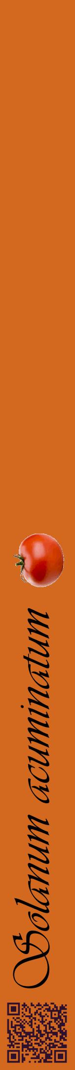 Étiquette de : Solanum acuminatum - format a - style noire31viv avec qrcode et comestibilité simplifiée