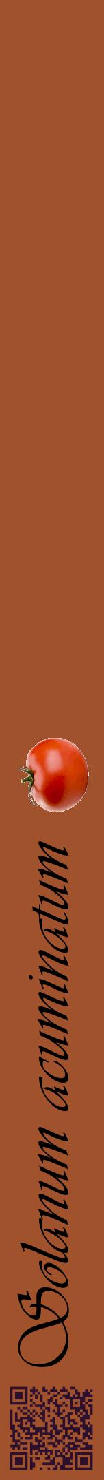Étiquette de : Solanum acuminatum - format a - style noire32viv avec qrcode et comestibilité simplifiée