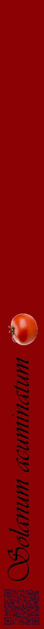 Étiquette de : Solanum acuminatum - format a - style noire34viv avec qrcode et comestibilité simplifiée