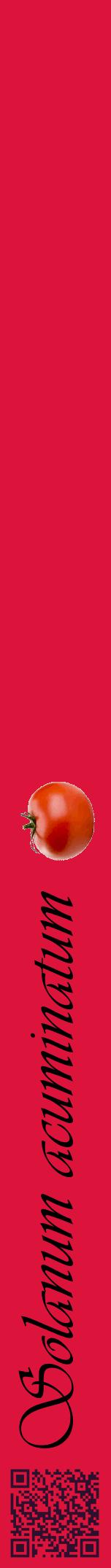 Étiquette de : Solanum acuminatum - format a - style noire36viv avec qrcode et comestibilité simplifiée
