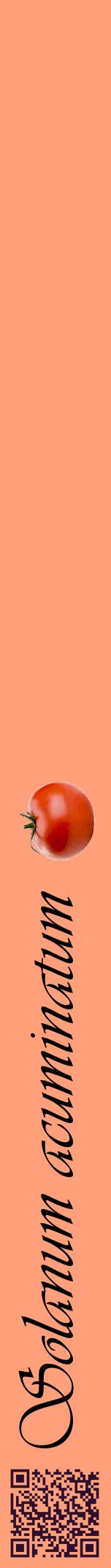 Étiquette de : Solanum acuminatum - format a - style noire39viv avec qrcode et comestibilité simplifiée