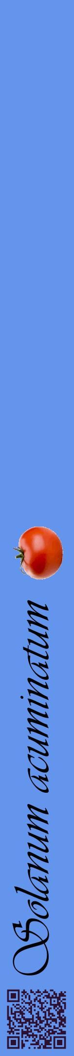 Étiquette de : Solanum acuminatum - format a - style noire4viv avec qrcode et comestibilité simplifiée