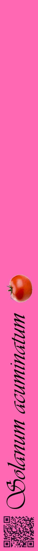 Étiquette de : Solanum acuminatum - format a - style noire42viv avec qrcode et comestibilité simplifiée