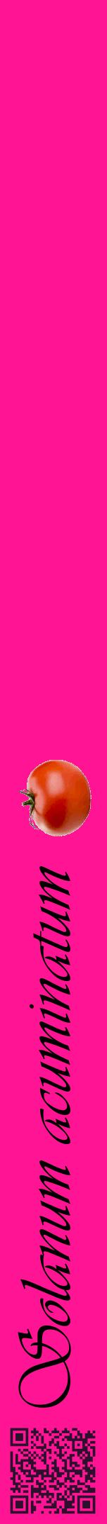 Étiquette de : Solanum acuminatum - format a - style noire43viv avec qrcode et comestibilité simplifiée