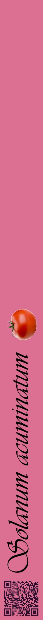 Étiquette de : Solanum acuminatum - format a - style noire44viv avec qrcode et comestibilité simplifiée