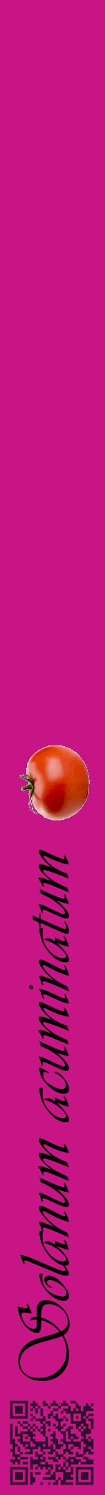 Étiquette de : Solanum acuminatum - format a - style noire45viv avec qrcode et comestibilité simplifiée
