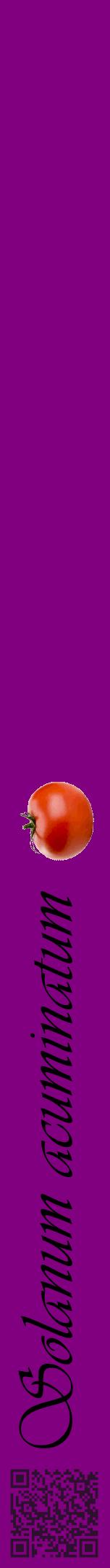 Étiquette de : Solanum acuminatum - format a - style noire46viv avec qrcode et comestibilité simplifiée