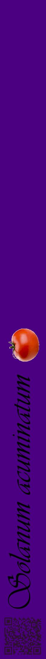 Étiquette de : Solanum acuminatum - format a - style noire47viv avec qrcode et comestibilité simplifiée