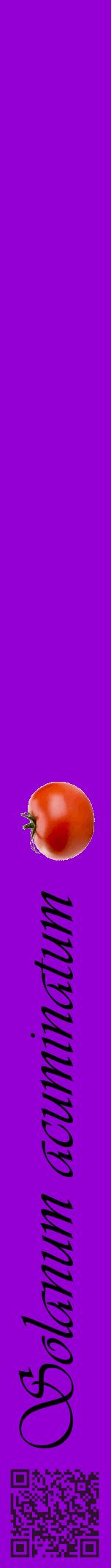 Étiquette de : Solanum acuminatum - format a - style noire48viv avec qrcode et comestibilité simplifiée
