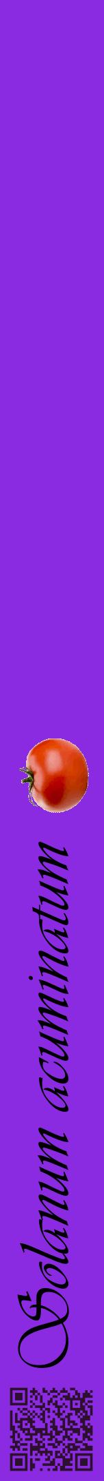 Étiquette de : Solanum acuminatum - format a - style noire49viv avec qrcode et comestibilité simplifiée