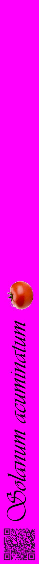 Étiquette de : Solanum acuminatum - format a - style noire51viv avec qrcode et comestibilité simplifiée