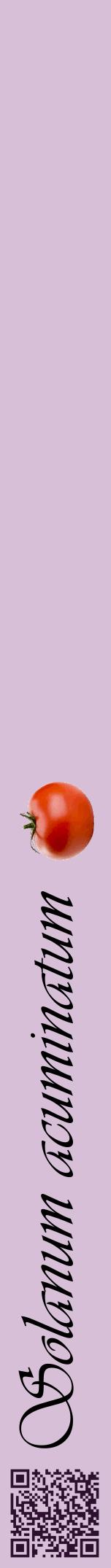 Étiquette de : Solanum acuminatum - format a - style noire54viv avec qrcode et comestibilité simplifiée