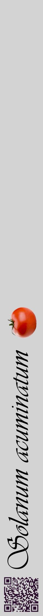 Étiquette de : Solanum acuminatum - format a - style noire56viv avec qrcode et comestibilité simplifiée