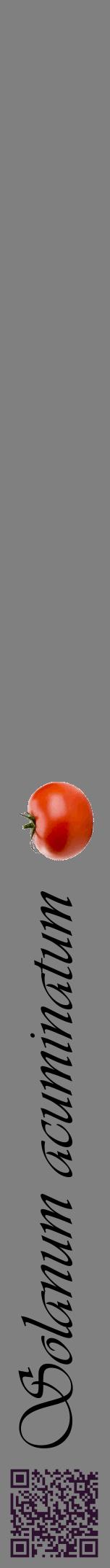 Étiquette de : Solanum acuminatum - format a - style noire57viv avec qrcode et comestibilité simplifiée