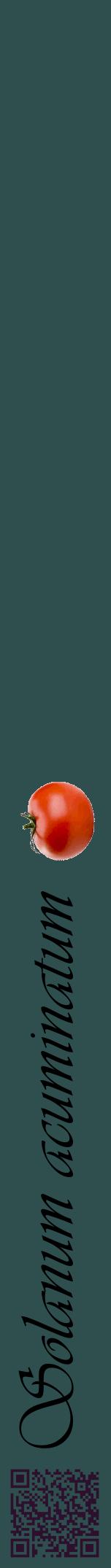 Étiquette de : Solanum acuminatum - format a - style noire58viv avec qrcode et comestibilité simplifiée