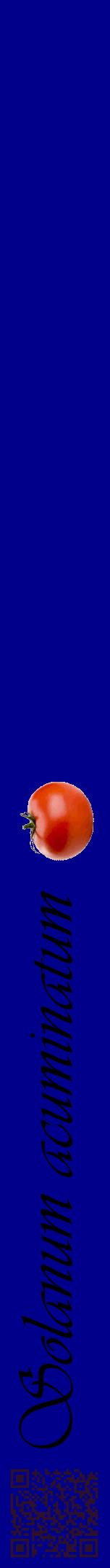 Étiquette de : Solanum acuminatum - format a - style noire7viv avec qrcode et comestibilité simplifiée
