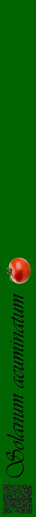 Étiquette de : Solanum acuminatum - format a - style noire8viv avec qrcode et comestibilité simplifiée