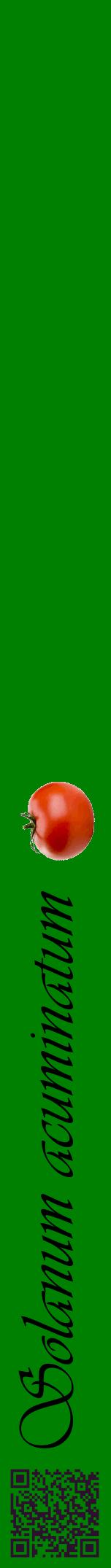 Étiquette de : Solanum acuminatum - format a - style noire9viv avec qrcode et comestibilité simplifiée