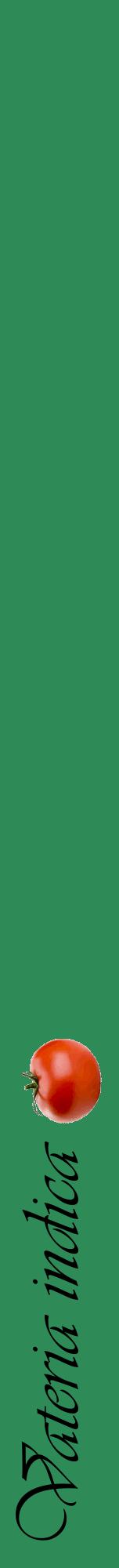 Étiquette de : Vateria indica - format a - style noire11viv avec comestibilité simplifiée