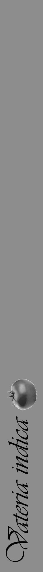 Étiquette de : Vateria indica - format a - style noire2viv avec comestibilité simplifiée - position verticale