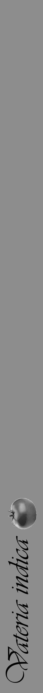 Étiquette de : Vateria indica - format a - style noire2simpleviv avec comestibilité simplifiée - position verticale