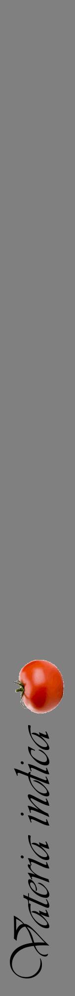 Étiquette de : Vateria indica - format a - style noire57viv avec comestibilité simplifiée