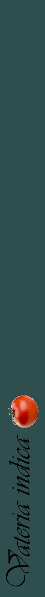 Étiquette de : Vateria indica - format a - style noire58viv avec comestibilité simplifiée