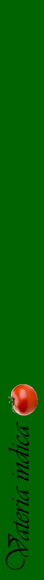 Étiquette de : Vateria indica - format a - style noire8viv avec comestibilité simplifiée